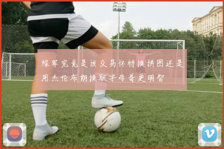 绿军究竟是该交易怀特换拼图还是用杰伦布朗换取字母哥更明智